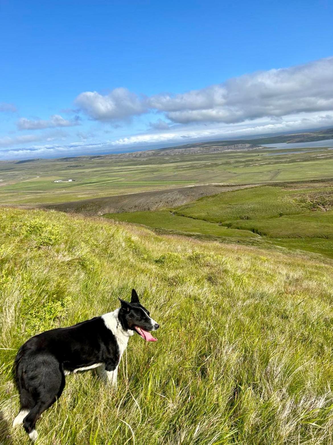 Sythri-Þvera Hvammstangi Exterior foto